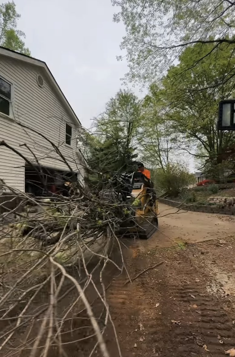 Emergency Tree Services service in Greenacres, FL