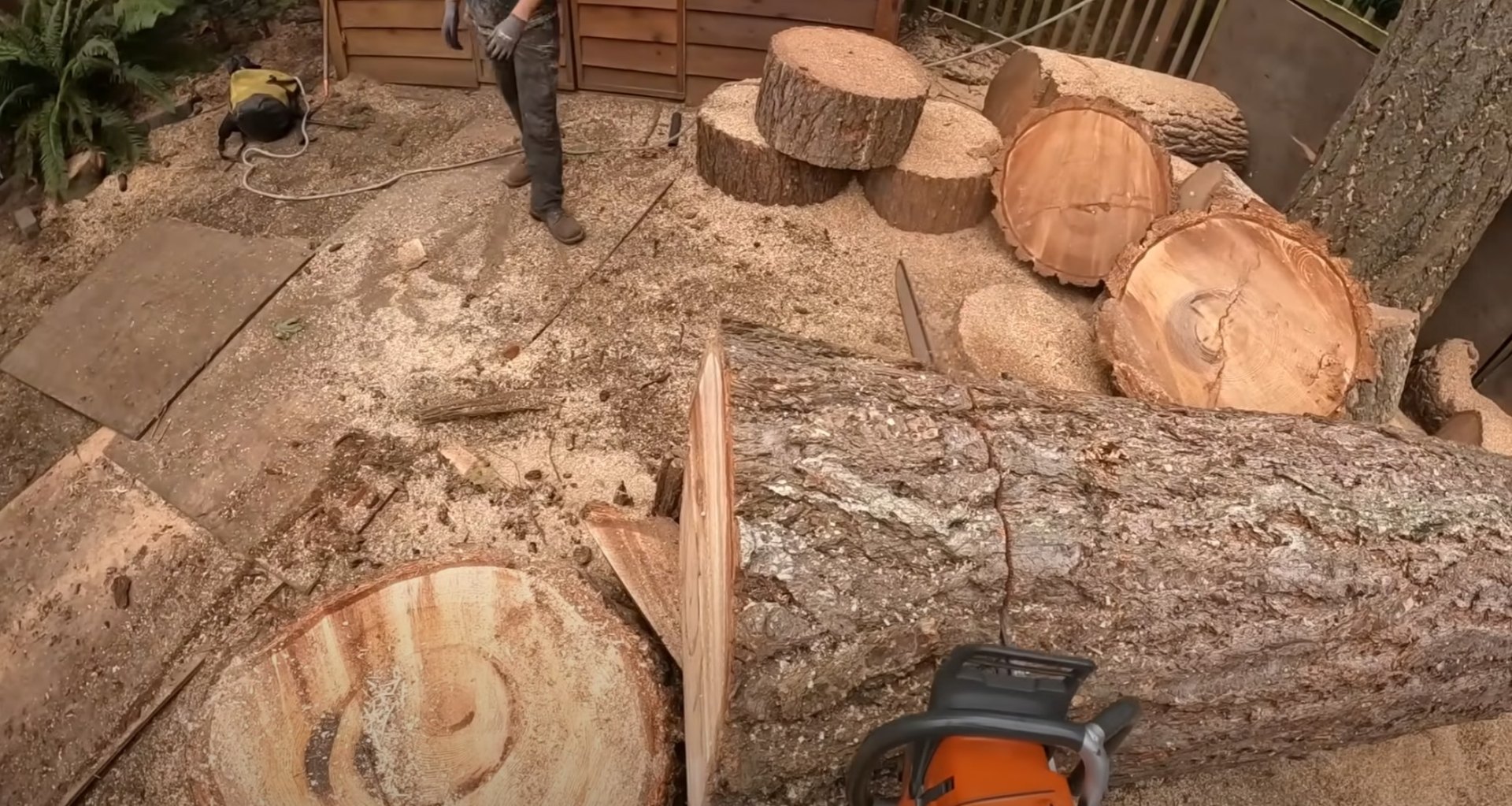 Precision tree cutting and sectioning for safe removal and cleanup Tree cutting and sectioning work showing professional log cutting techniques