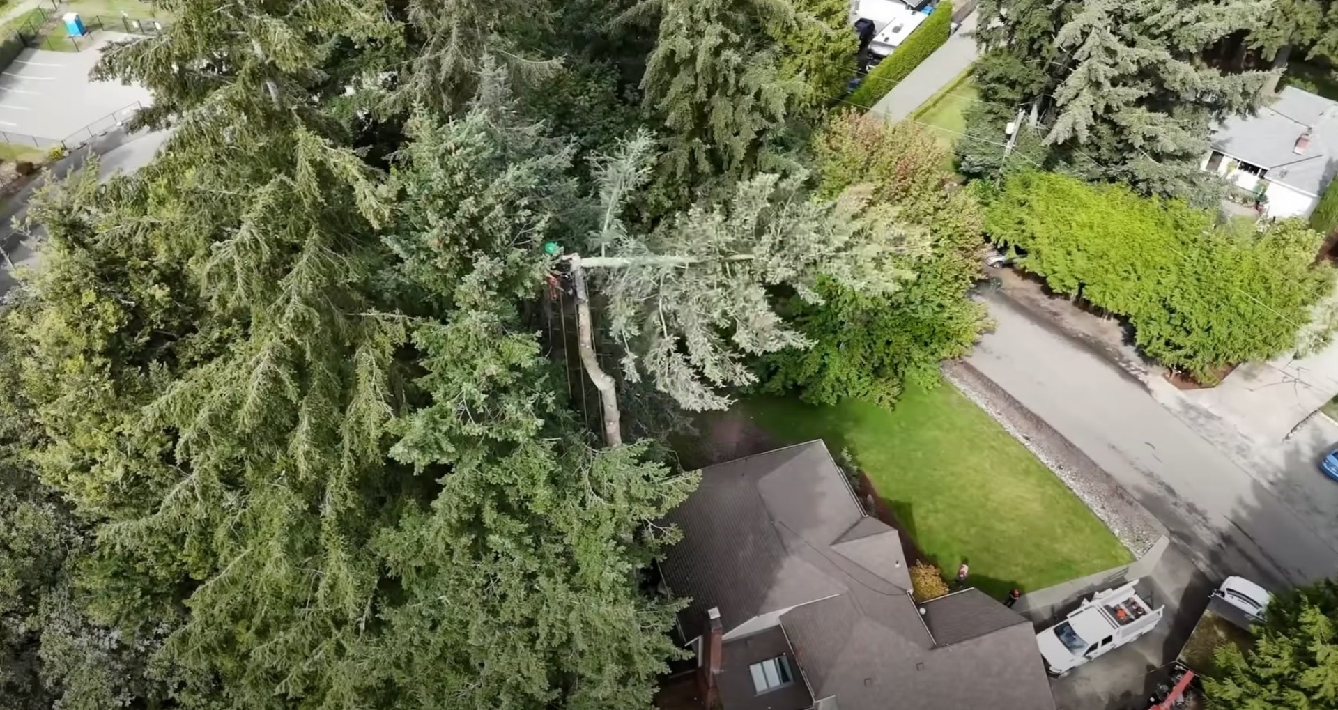 Comprehensive tree care services for large residential properties Aerial view of tree service crew working on large residential property tree removal