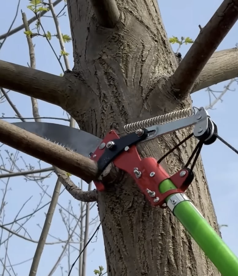 Advanced tree trimming tools for precise and safe branch removal Professional tree trimming equipment showing precision pole saw cutting branch
