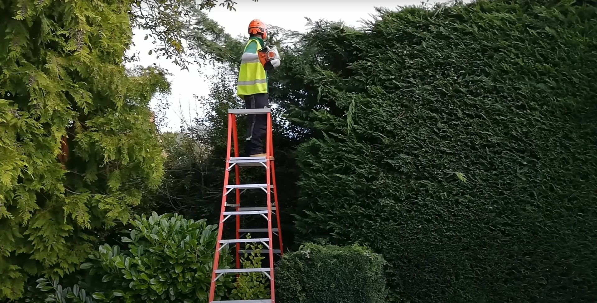 Professional hedge and shrub trimming services for residential properties Certified arborist on ladder performing hedge trimming services with chainsaw