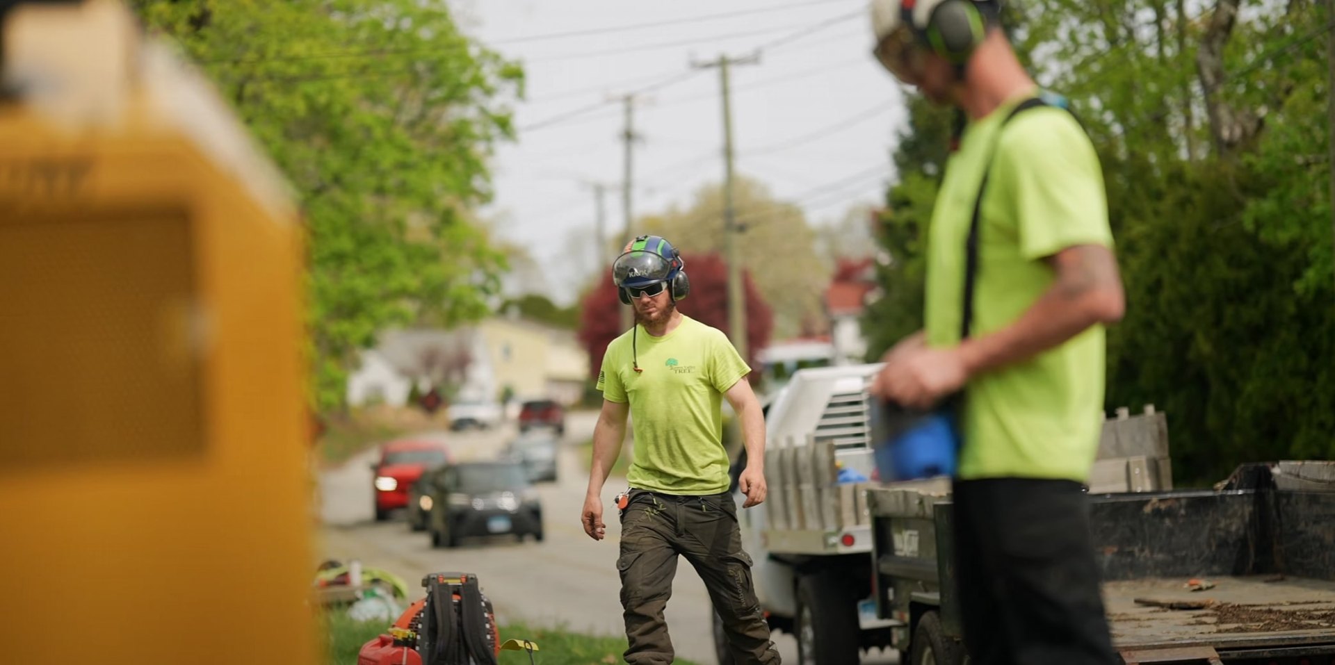 Safe professional tree work with certified arborists and proper equipment Professional tree service crew working safely with proper equipment and safety gear