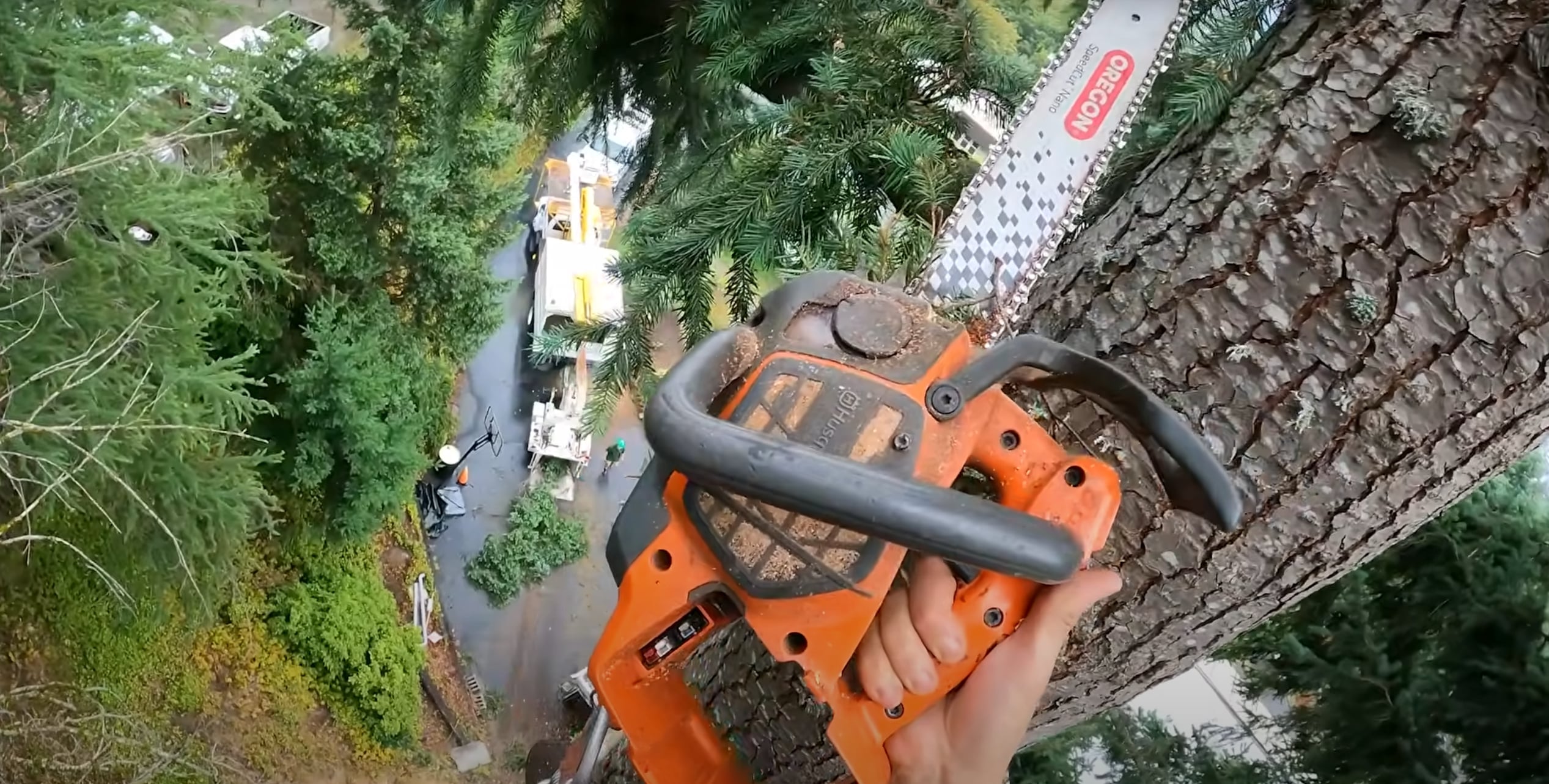 Tree Trimming & Pruning service in Greenacres, FL